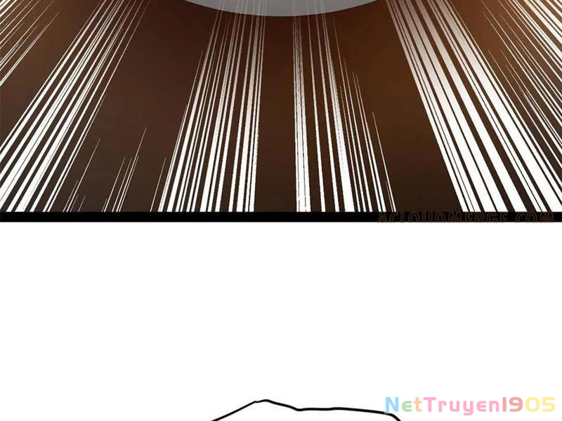 Chàng Rể Mạnh Nhất Lịch Sử Chapter 315 - Trang 2