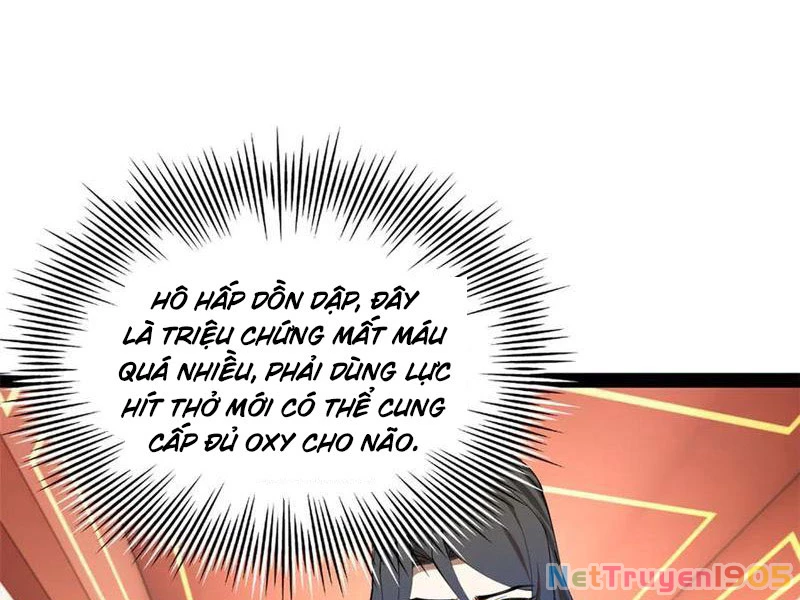 Chàng Rể Mạnh Nhất Lịch Sử Chapter 315 - Trang 2