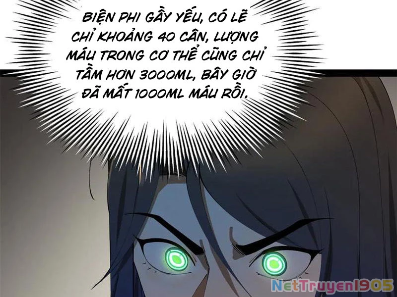 Chàng Rể Mạnh Nhất Lịch Sử Chapter 315 - Trang 2