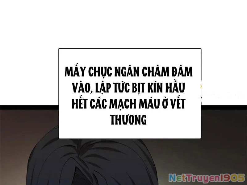 Chàng Rể Mạnh Nhất Lịch Sử Chapter 315 - Trang 2