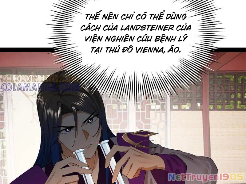 Chàng Rể Mạnh Nhất Lịch Sử Chapter 315 - Trang 2