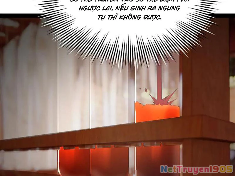 Chàng Rể Mạnh Nhất Lịch Sử Chapter 315 - Trang 2