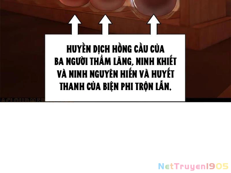 Chàng Rể Mạnh Nhất Lịch Sử Chapter 315 - Trang 2