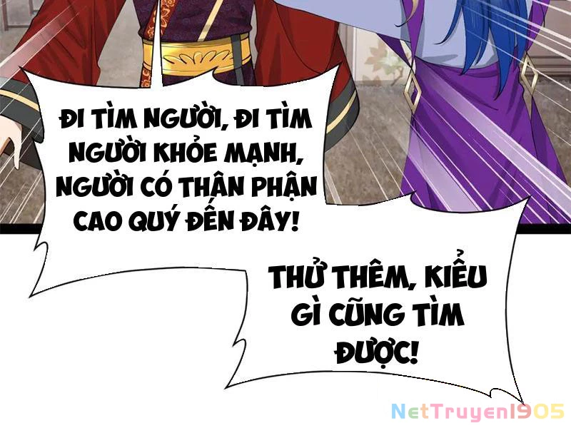 Chàng Rể Mạnh Nhất Lịch Sử Chapter 315 - Trang 2