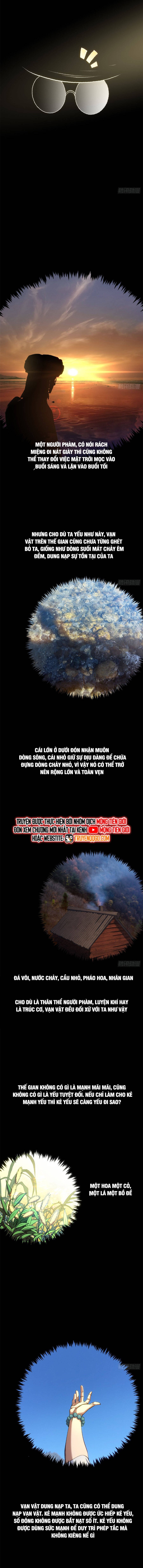 Đỉnh Cấp Khí Vận, Lặng Lẽ Tu Luyện Ngàn Năm Chapter 256 - Trang 2