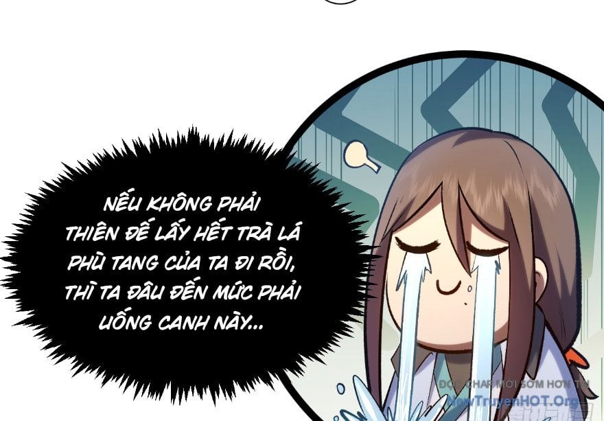 Đỉnh Cấp Khí Vận, Lặng Lẽ Tu Luyện Ngàn Năm Chapter 270 - Trang 2
