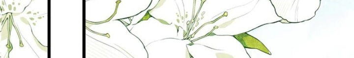 Ta Bị Kẹt Cùng Một Ngày 1000 Năm Chapter 192 - Trang 2