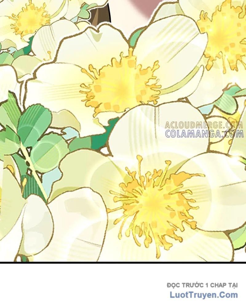 Ta Bị Kẹt Cùng Một Ngày 1000 Năm Chapter 217 - Trang 2