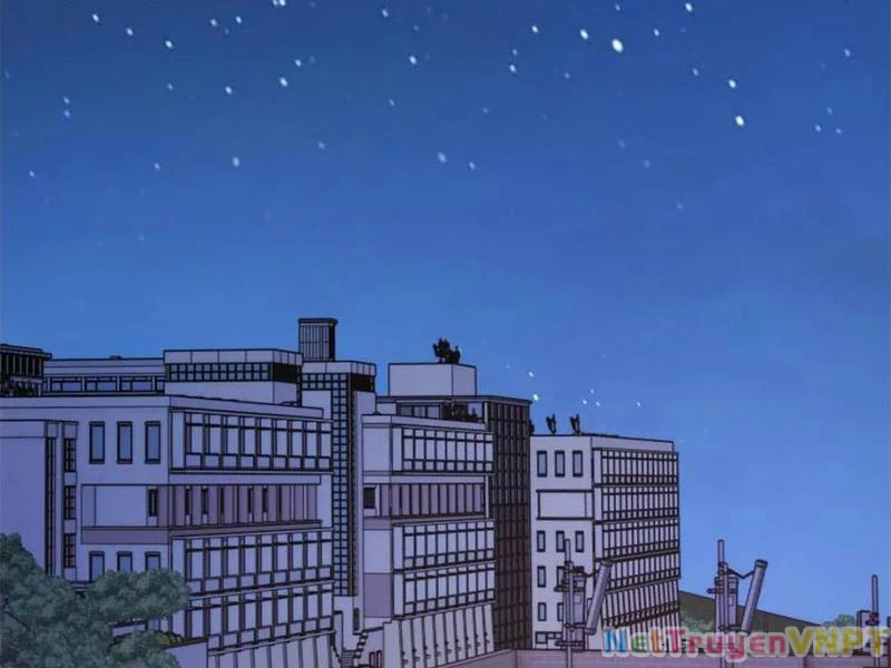 Trọng Sinh Không Làm Chạn Vương, Tôi Một Mình Nạp Game Thăng Cấp Chapter 217 - Trang 2