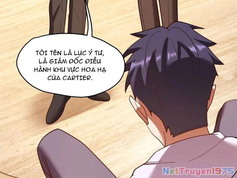 Trọng Sinh Không Làm Chạn Vương, Tôi Một Mình Nạp Game Thăng Cấp Chapter 219 - Trang 2