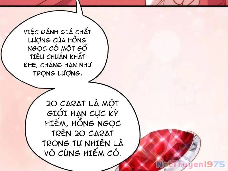 Trọng Sinh Không Làm Chạn Vương, Tôi Một Mình Nạp Game Thăng Cấp Chapter 219 - Trang 2