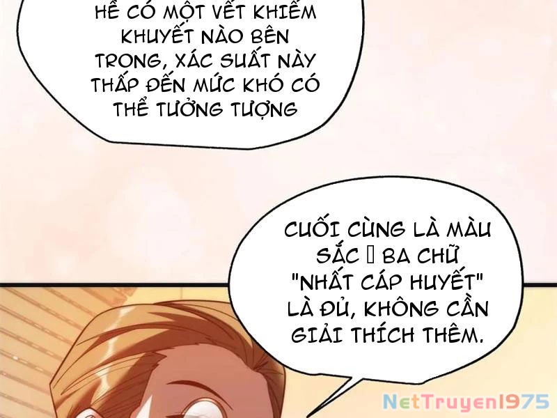 Trọng Sinh Không Làm Chạn Vương, Tôi Một Mình Nạp Game Thăng Cấp Chapter 219 - Trang 2