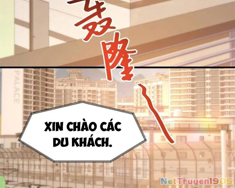 Trọng Sinh Không Làm Chạn Vương, Tôi Một Mình Nạp Game Thăng Cấp Chapter 227 - Trang 2