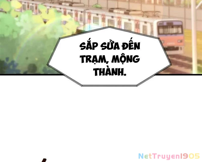 Trọng Sinh Không Làm Chạn Vương, Tôi Một Mình Nạp Game Thăng Cấp Chapter 227 - Trang 2