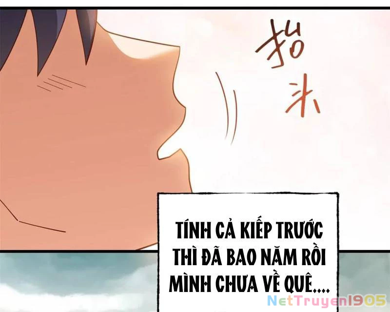 Trọng Sinh Không Làm Chạn Vương, Tôi Một Mình Nạp Game Thăng Cấp Chapter 227 - Trang 2