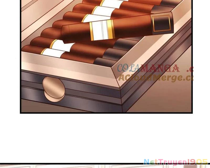 Trọng Sinh Không Làm Chạn Vương, Tôi Một Mình Nạp Game Thăng Cấp Chapter 227 - Trang 2