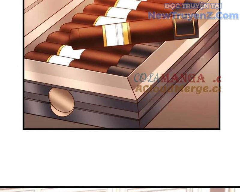 Trọng Sinh Không Làm Chạn Vương, Tôi Một Mình Nạp Game Thăng Cấp Chapter 228 - Trang 2