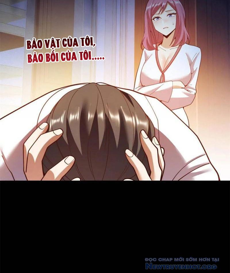 Trọng Sinh Không Làm Chạn Vương, Tôi Một Mình Nạp Game Thăng Cấp Chapter 231 - Trang 2