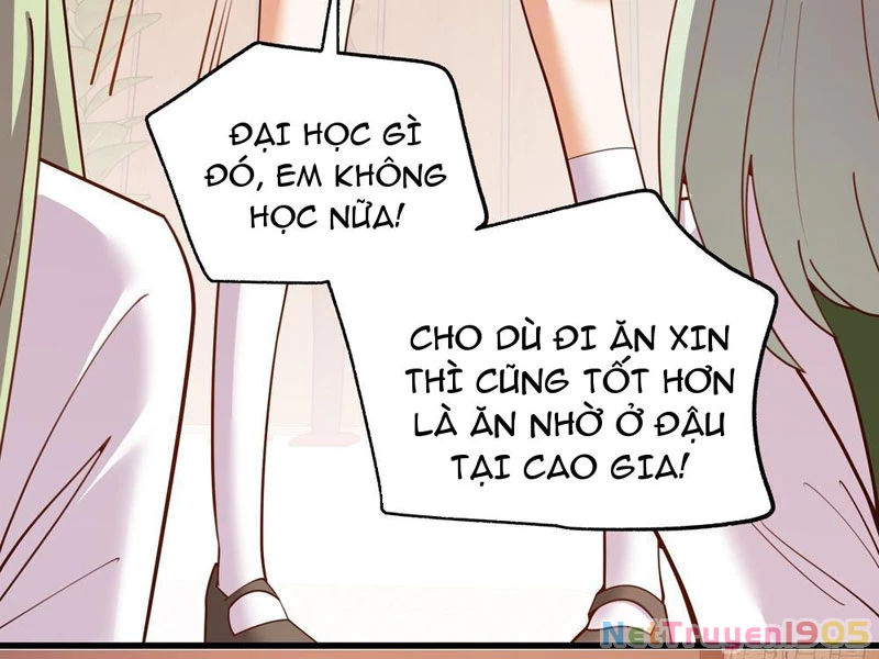 Trọng Sinh Không Làm Chạn Vương, Tôi Một Mình Nạp Game Thăng Cấp Chapter 246 - Trang 2