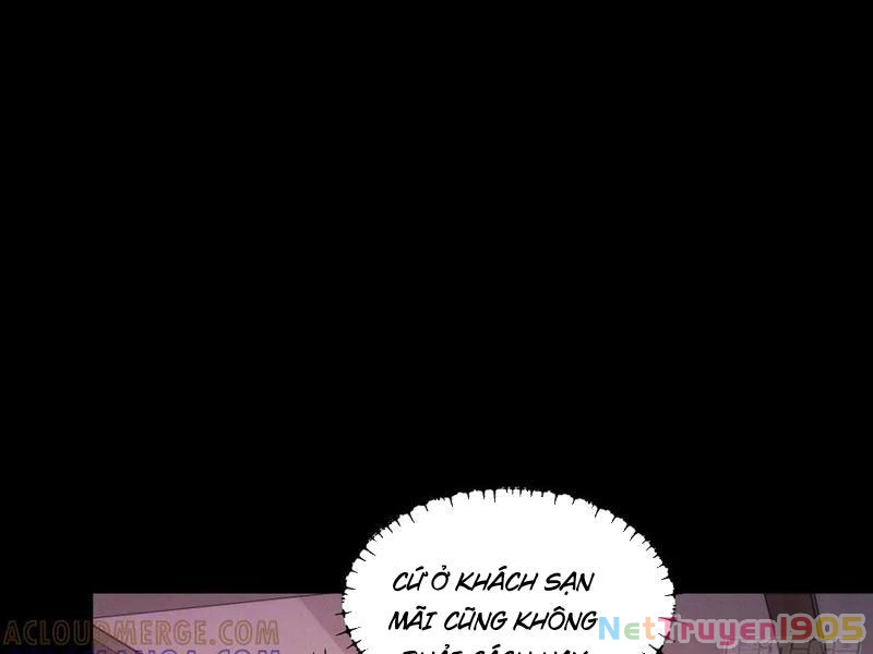 Trọng Sinh Không Làm Chạn Vương, Tôi Một Mình Nạp Game Thăng Cấp Chapter 250 - Trang 2
