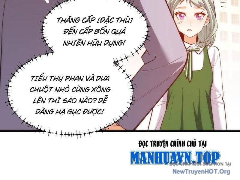 Trọng Sinh Không Làm Chạn Vương, Tôi Một Mình Nạp Game Thăng Cấp Chapter 264 - Trang 2