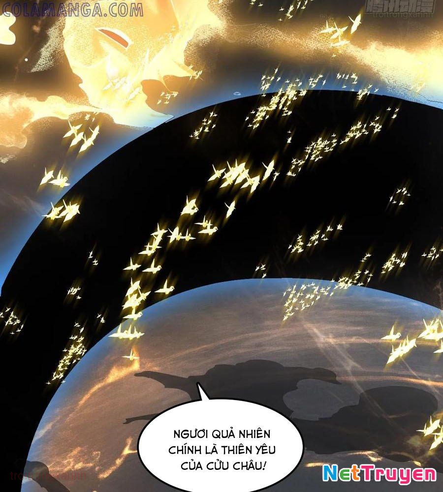 Bắt Đầu Từ Cửu Đầu Điểu Chapter 322 - Trang 2