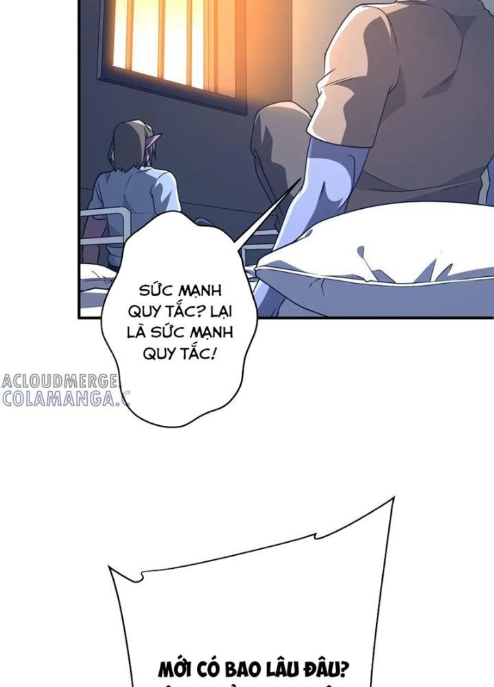 Bắt Đầu Với Trăm Vạn Minh Tệ Chapter 253 - Trang 2