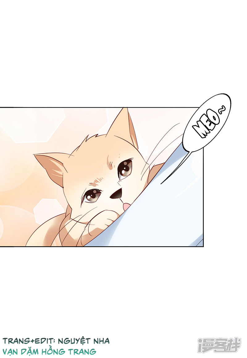 Cô Ấy Đến Rồi, Xin Hãy Nằm Xuống! Chapter 70 - Trang 2