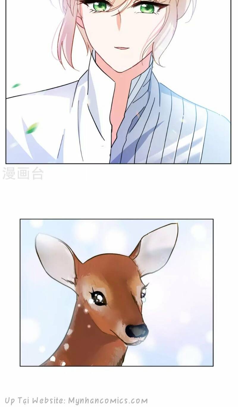 Cô Ấy Đến Rồi, Xin Hãy Nằm Xuống! Chapter 117 - Trang 2