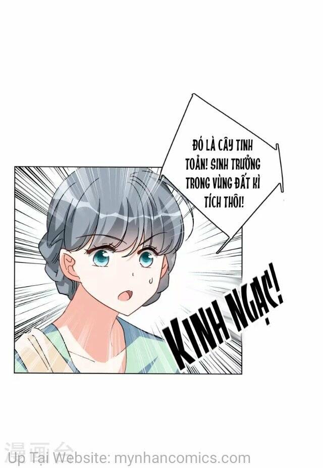 Cô Ấy Đến Rồi, Xin Hãy Nằm Xuống! Chapter 135 - Trang 2