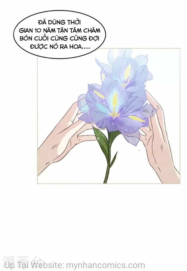 Cô Ấy Đến Rồi, Xin Hãy Nằm Xuống! Chapter 137 - Trang 2