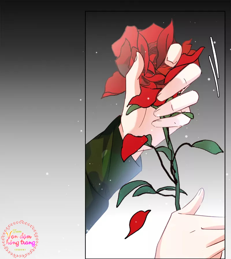 Cô Ấy Đến Rồi, Xin Hãy Nằm Xuống! Chapter 191 - Trang 2