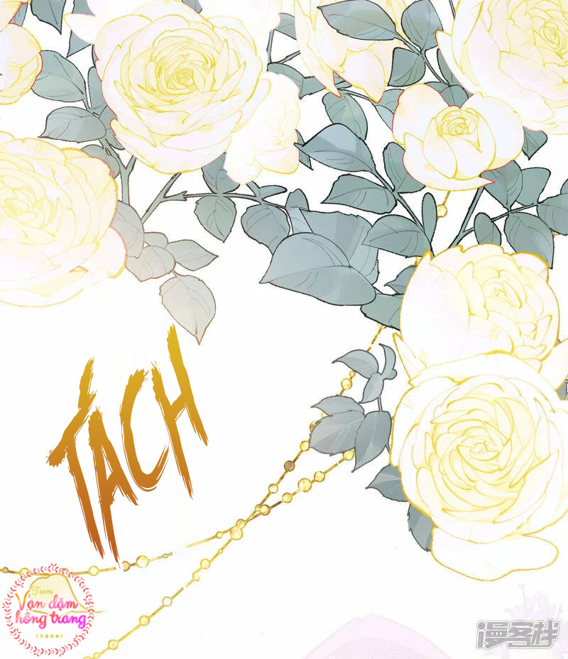 Cô Ấy Đến Rồi, Xin Hãy Nằm Xuống! Chapter 205 - Trang 2