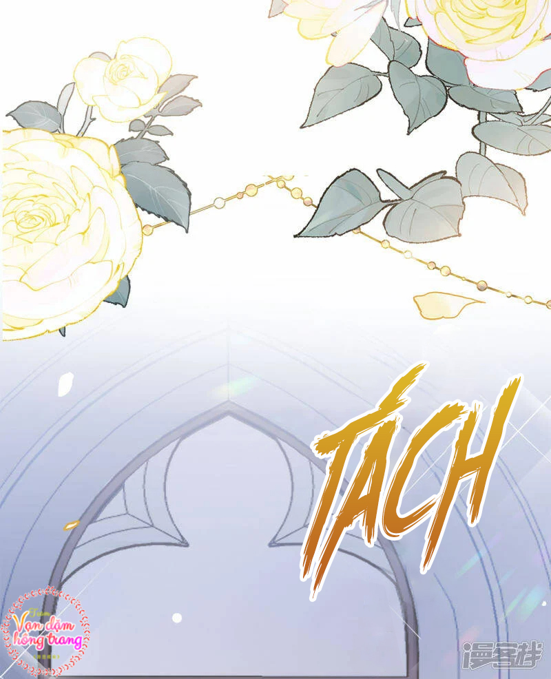 Cô Ấy Đến Rồi, Xin Hãy Nằm Xuống! Chapter 205 - Trang 2