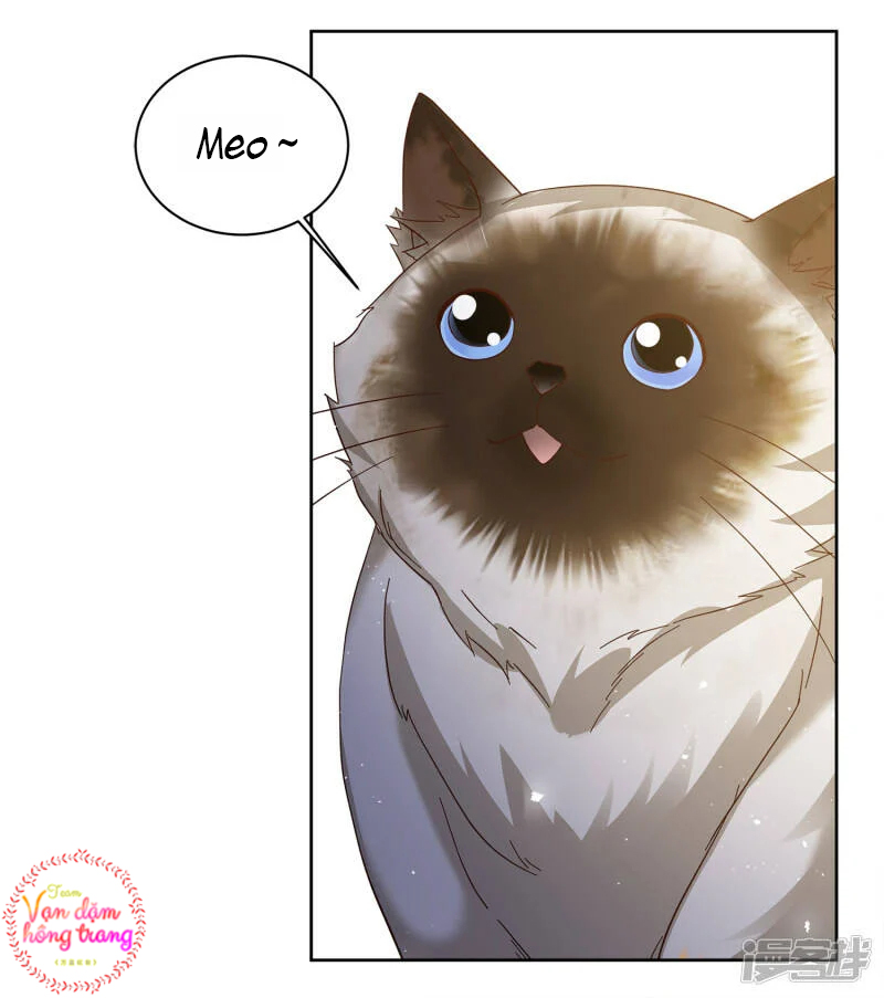 Cô Ấy Đến Rồi, Xin Hãy Nằm Xuống! Chapter 209 - Trang 2