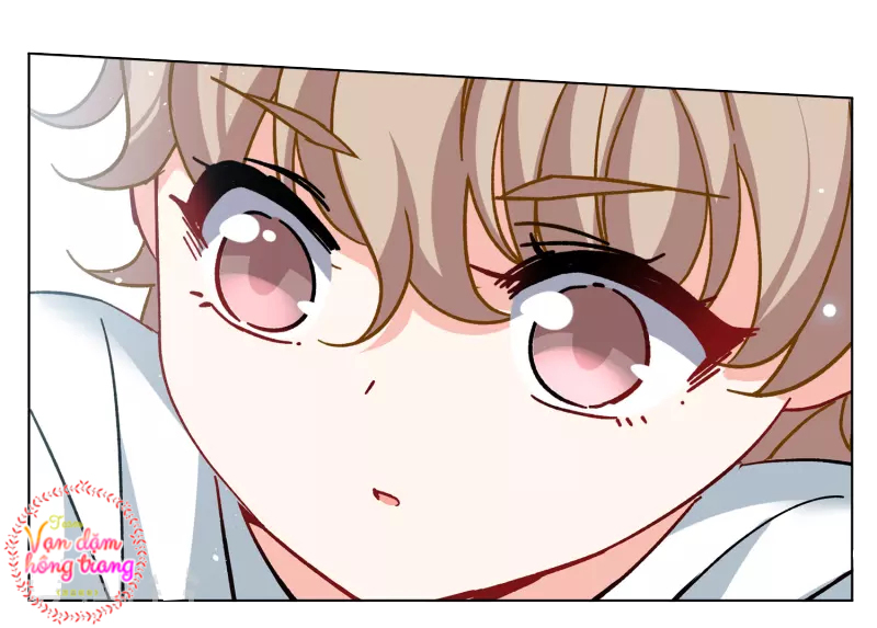 Cô Ấy Đến Rồi, Xin Hãy Nằm Xuống! Chapter 236 - Trang 2