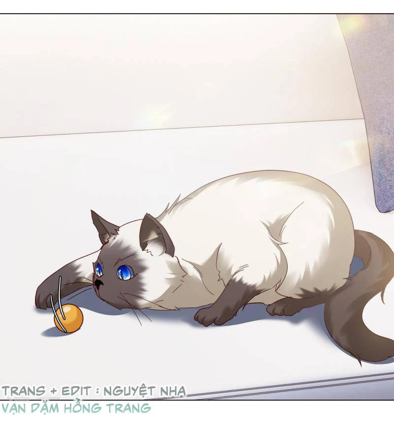 Cô Ấy Đến Rồi, Xin Hãy Nằm Xuống! Chapter 274 - Trang 2