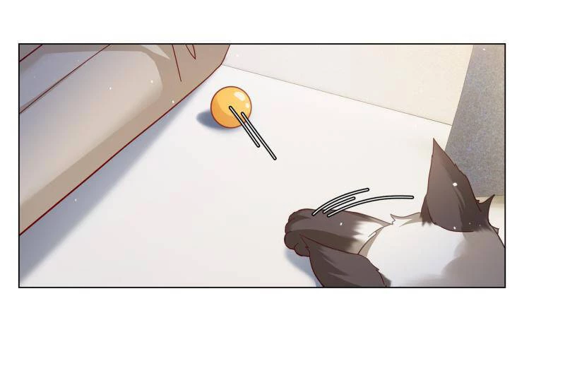 Cô Ấy Đến Rồi, Xin Hãy Nằm Xuống! Chapter 274 - Trang 2