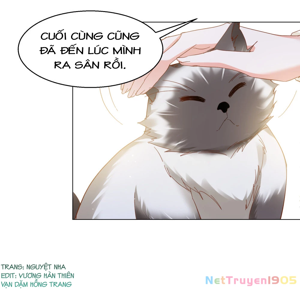 Cô Ấy Đến Rồi, Xin Hãy Nằm Xuống! Chapter 322 - Trang 2