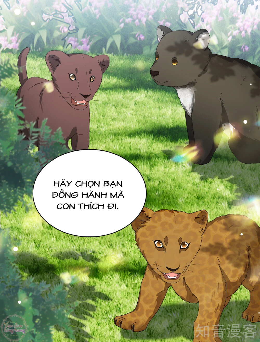 Cô Ấy Đến Rồi, Xin Hãy Nằm Xuống! Chapter 333 - Trang 2