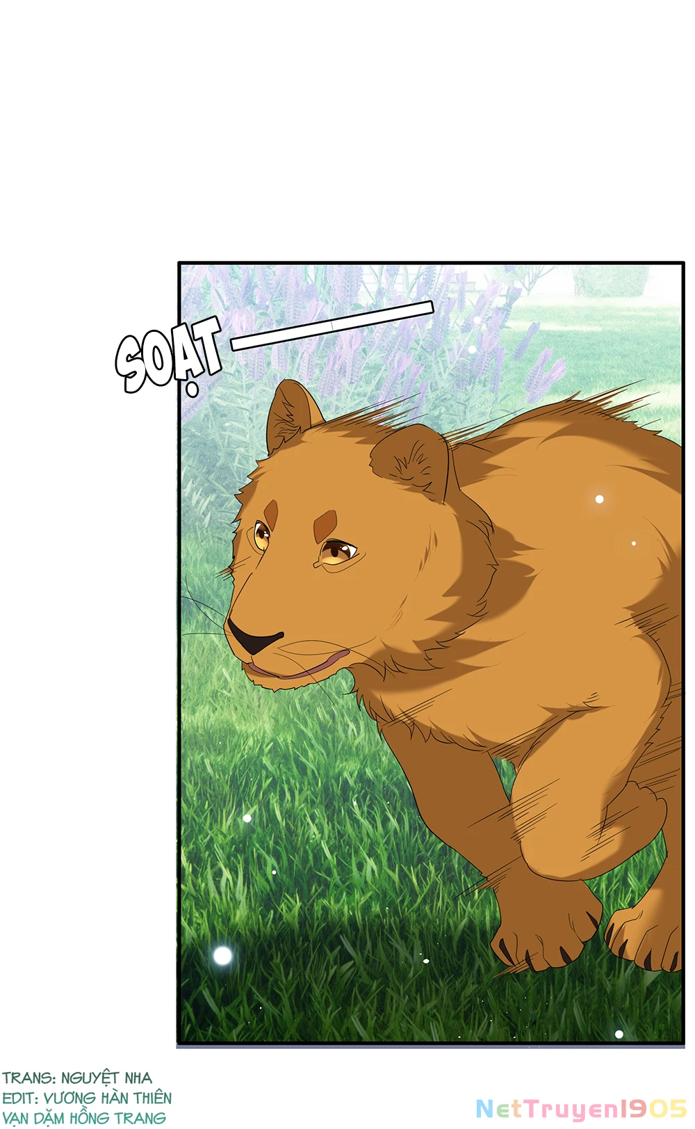 Cô Ấy Đến Rồi, Xin Hãy Nằm Xuống! Chapter 334 - Trang 2