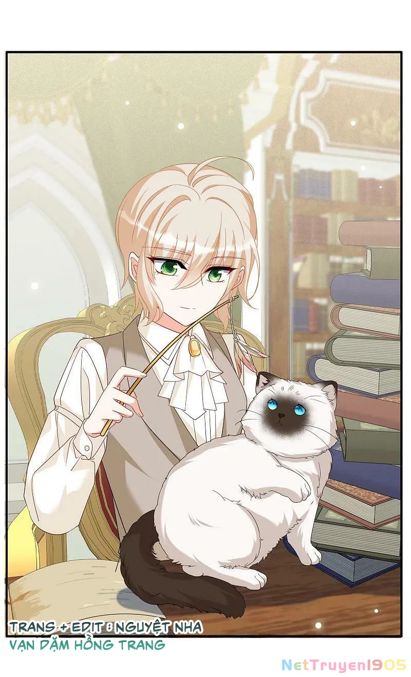 Cô Ấy Đến Rồi, Xin Hãy Nằm Xuống! Chapter 335 - Trang 2