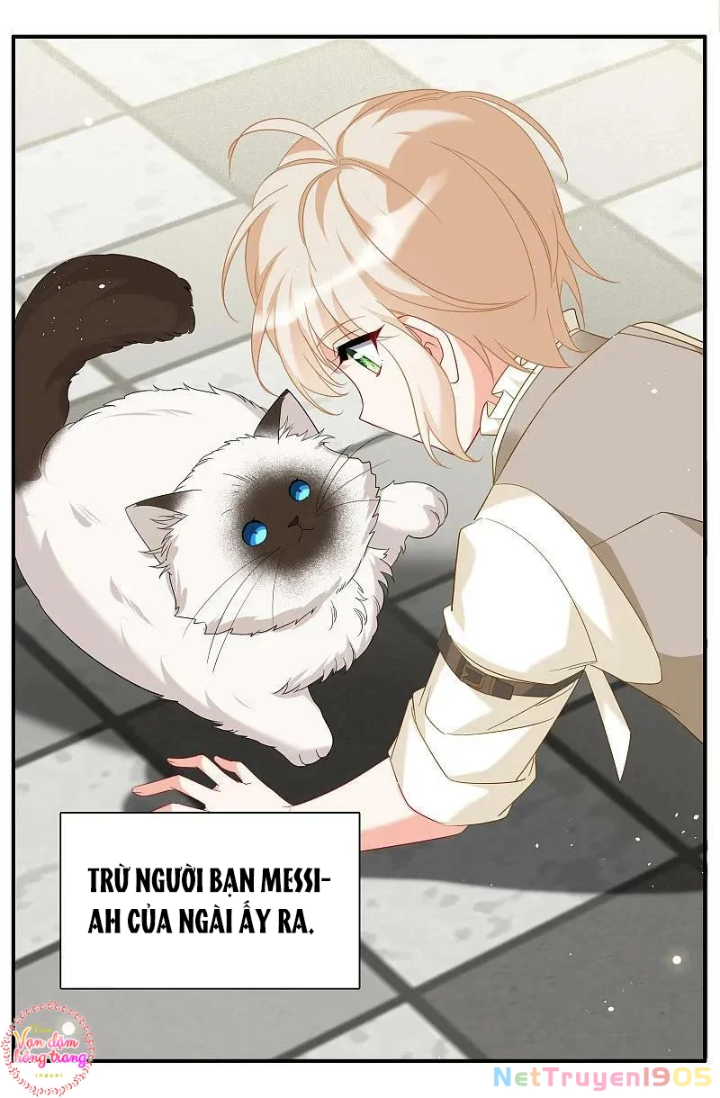 Cô Ấy Đến Rồi, Xin Hãy Nằm Xuống! Chapter 336 - Trang 2