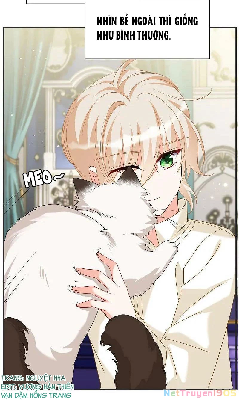 Cô Ấy Đến Rồi, Xin Hãy Nằm Xuống! Chapter 336 - Trang 2