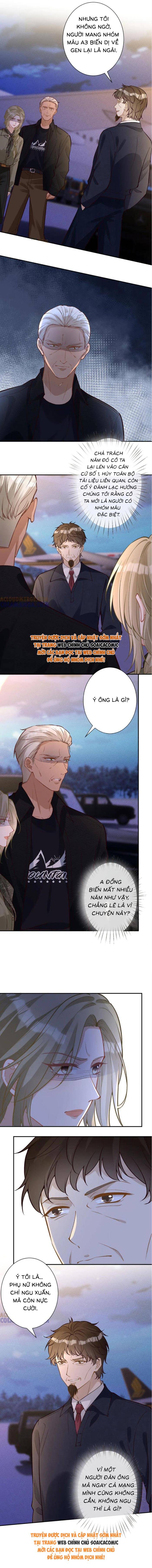 Ôm Khẩn Tiểu Mã Giáp Của Tôi Chapter 377 - Trang 2