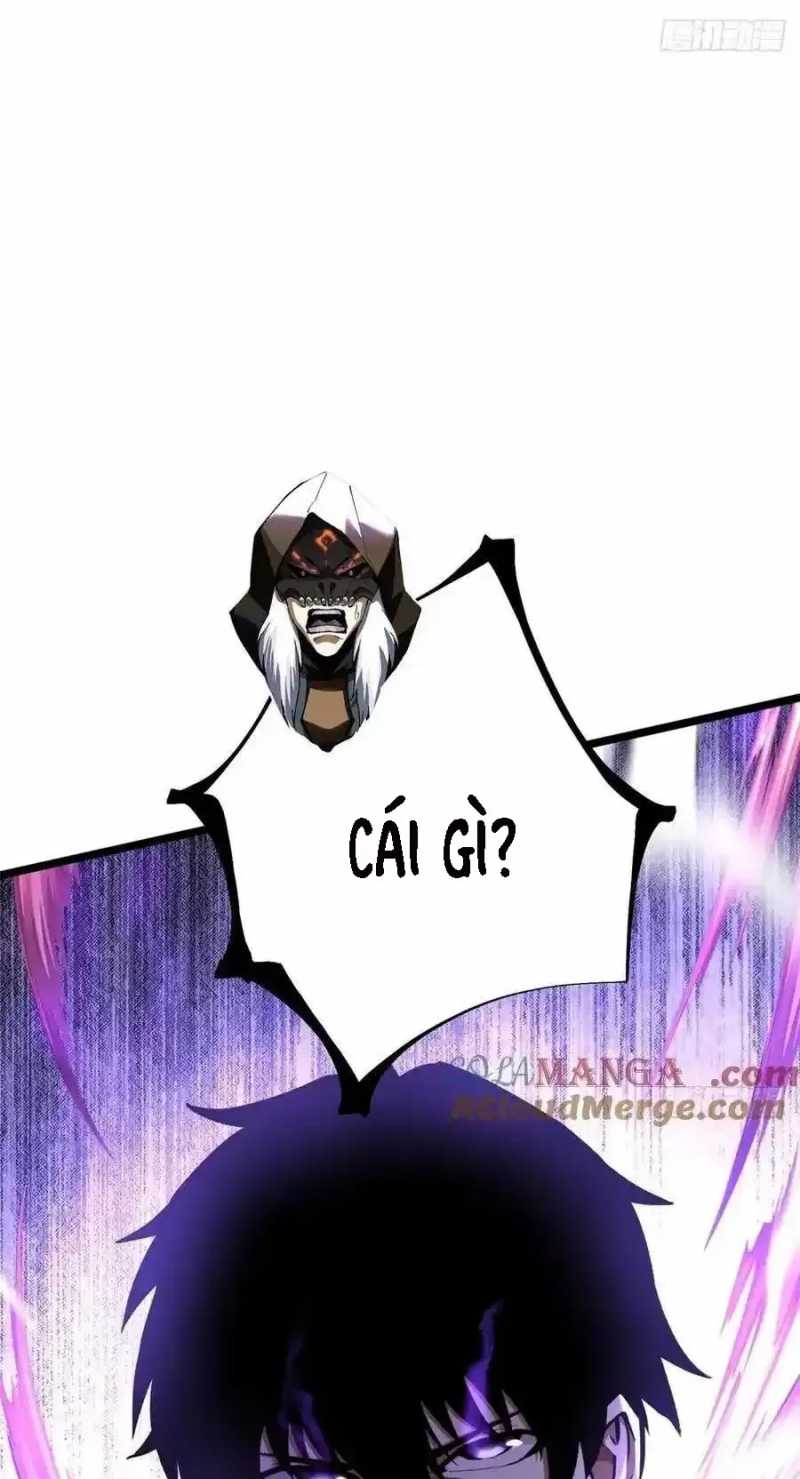 Ta Thật Không Muốn Học Cấm Chú Chapter 38.1 - Trang 2