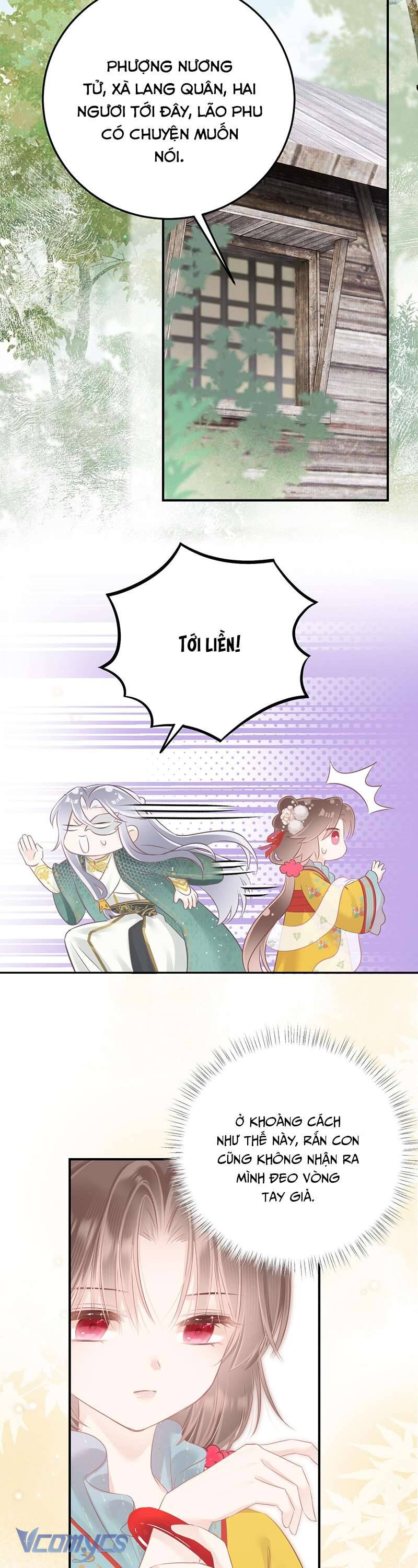 Rắn Cưng Nhà Ta Lại Trêu Ta Chapter 16 - Trang 2