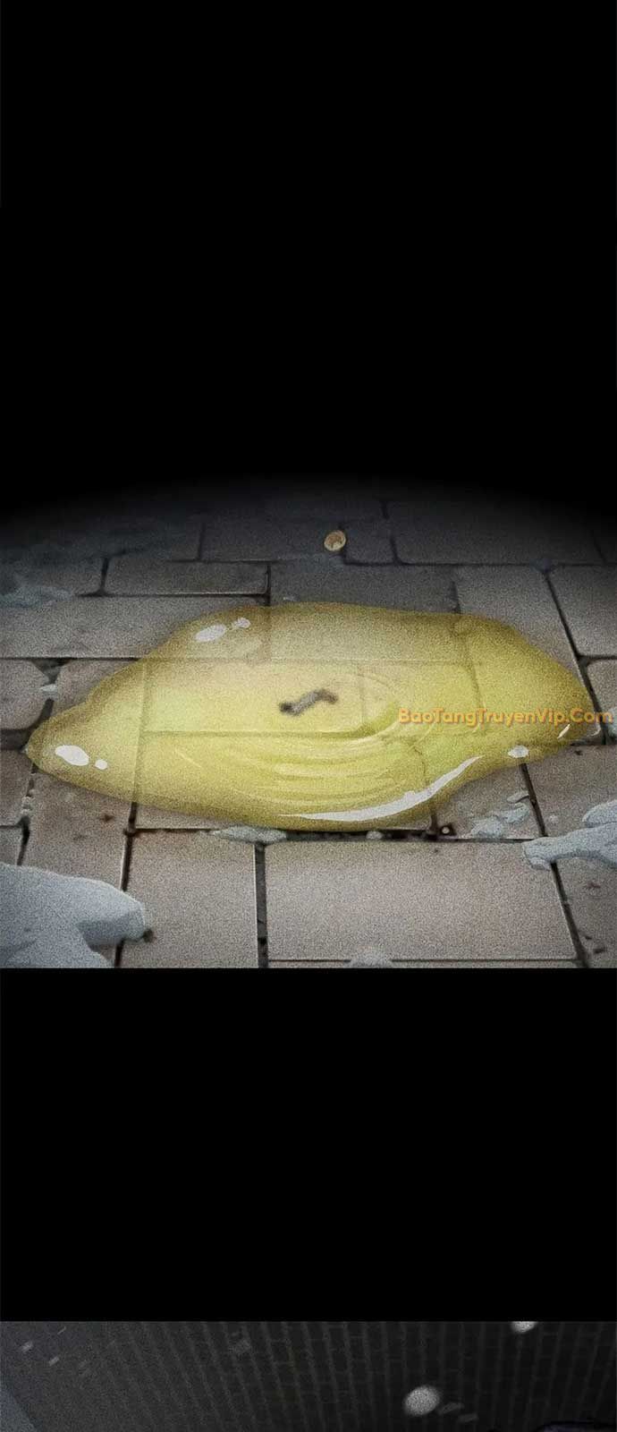 Youtuber Thể Hình Một Triệu Subs Chapter 3 - Trang 2