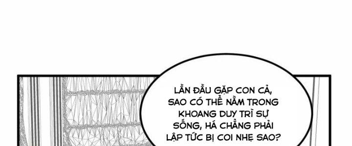 Chiến Hạm Của Ta Có Thể Thăng Cấp Chapter 26 - Trang 2