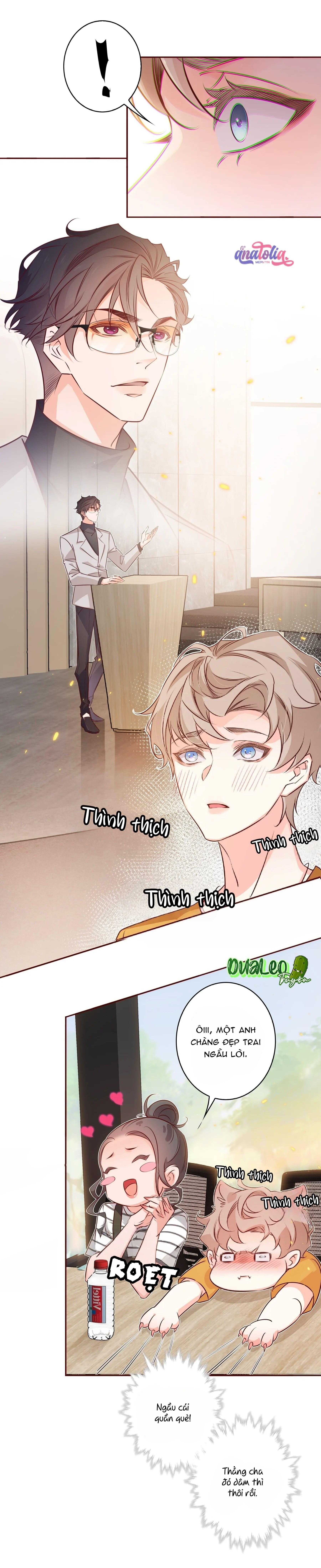Yêu Em Bất Chấp Chapter 9 - Trang 2
